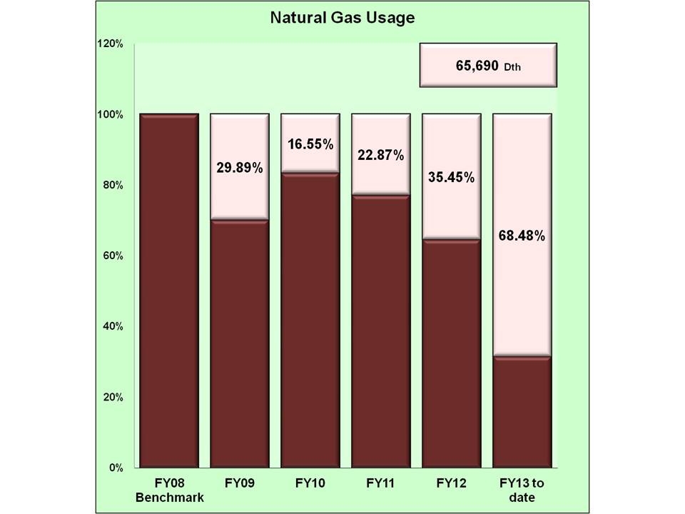 Natural Gas usage 1st quarter Fiscal Year 2013